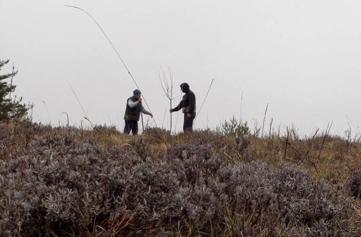 « La Terre de mon grand-père » : l’amour des arbres et de la vie