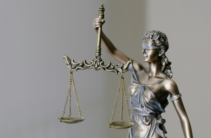 Elections, Yadan et Meta : les 10 infos de la semaine