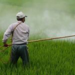 Enquête sur le système Sander au cœur du lobby agricole industriel