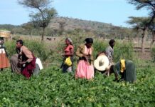 Aéroport de Bishoftu : les coûts cachés d’un projet d’ambition continentale Aéroport de Bishoftu : les coûts cachés d’un projet d’ambition continentale