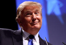 Trump, Djihad et superprofit : les 10 infos de la semaine !