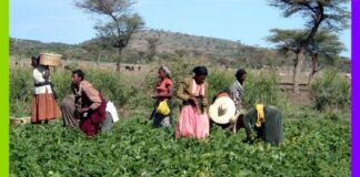 Aéroport de Bishoftu : les coûts cachés d’un projet d’ambition continentale Aéroport de Bishoftu : les coûts cachés d’un projet d’ambition continentale