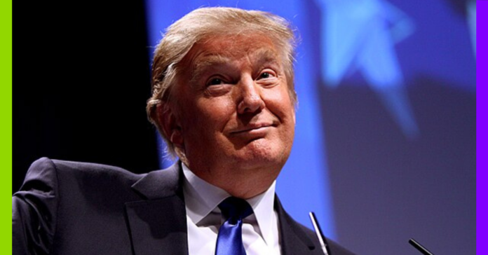 Trump, Djihad et superprofit : les 10 infos de la semaine !