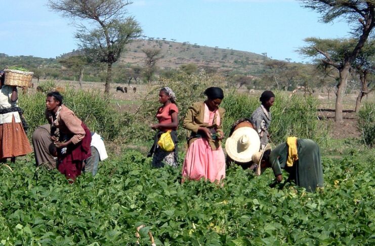 Aéroport de Bishoftu : les coûts cachés d’un projet d’ambition continentale Aéroport de Bishoftu : les coûts cachés d’un projet d’ambition continentale