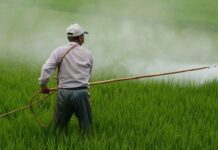 Enquête : la famille Sander au cœur du lobby agricole industriel Enquête sur le système Sander au cœur du lobby agricole industriel