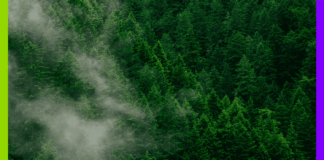 Spéculation, Mexique et Ghana : les 10 bonnes nouvelles