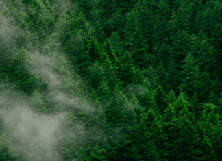 Spéculation, Mexique et Ghana : les 10 bonnes nouvelles