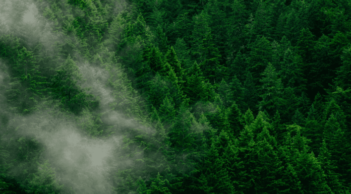 Spéculation, Mexique et Ghana : les 10 bonnes nouvelles