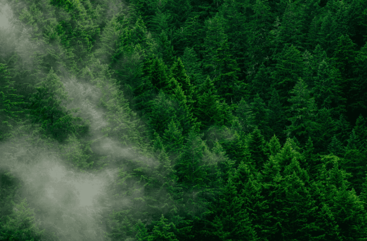 Spéculation, Mexique et Ghana : les 10 bonnes nouvelles