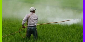 Enquête : la famille Sander au cœur du lobby agricole industriel Enquête sur le système Sander au cœur du lobby agricole industriel