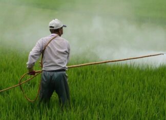 Enquête : la famille Sander au cœur du lobby agricole industriel Enquête sur le système Sander au cœur du lobby agricole industriel