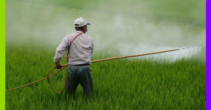 Enquête : la famille Sander au cœur du lobby agricole industriel Enquête sur le système Sander au cœur du lobby agricole industriel