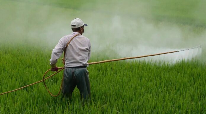 Enquête : la famille Sander au cœur du lobby agricole industriel Enquête sur le système Sander au cœur du lobby agricole industriel