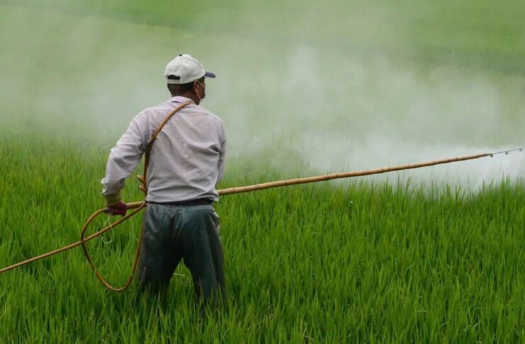 Enquête : la famille Sander au cœur du lobby agricole industriel Enquête sur le système Sander au cœur du lobby agricole industriel