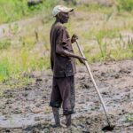 À Mukike, la ruée vers la pomme de terre vide les montagnes
