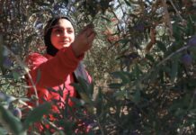 Récit d’un voyage en Palestine : agroécologie, colonisation et résistance Récit d’un voyage en Palestine : agroécologie, colonisation et résistance