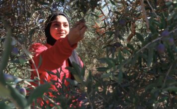 Récit d’un voyage en Palestine : agroécologie, colonisation et résistance Récit d’un voyage en Palestine : agroécologie, colonisation et résistance