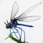 Libellule 2_01