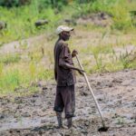 À Mukike, la ruée vers la pomme de terre vide les montagnes