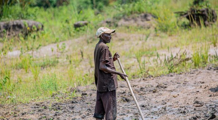 Burundi : à Mukike, la ruée vers la pomme de terre vide les montagnes À Mukike, la ruée vers la pomme de terre vide les montagnes
