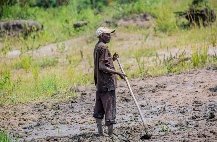 Burundi : à Mukike, la ruée vers la pomme de terre vide les montagnes À Mukike, la ruée vers la pomme de terre vide les montagnes