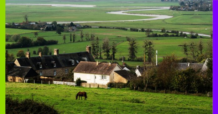 Restitution, station-municipale, écologie populaire : les 10 bonnes nouvelles de la semaine
