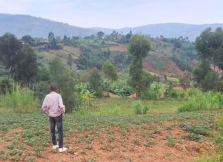 Burundi : le compost, alibi de l’État face à la crise des engrais Burundi : le compost, alibi de l'État face à la crise des engrais