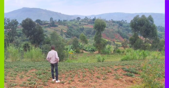 Burundi : le compost, alibi de l’État face à la crise des engrais Burundi : le compost, alibi de l'État face à la crise des engrais