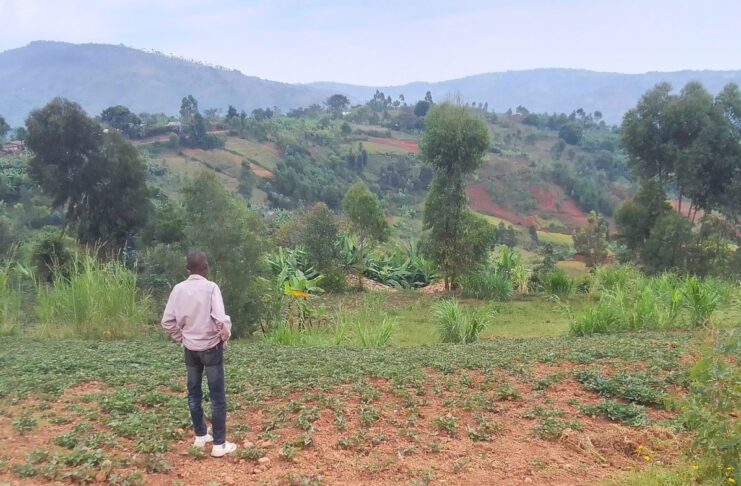 Burundi : le compost, alibi de l’État face à la crise des engrais Burundi : le compost, alibi de l'État face à la crise des engrais