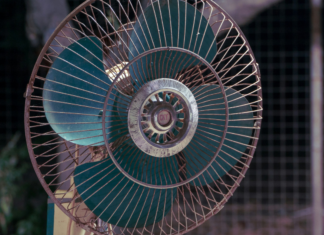 Canicule, Liban et Russie : les 10 infos de la semaine