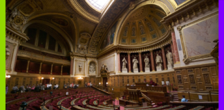 Aide à mourir, capitalisme rentier et agressions sexuelles : les 10 actus de la semaine