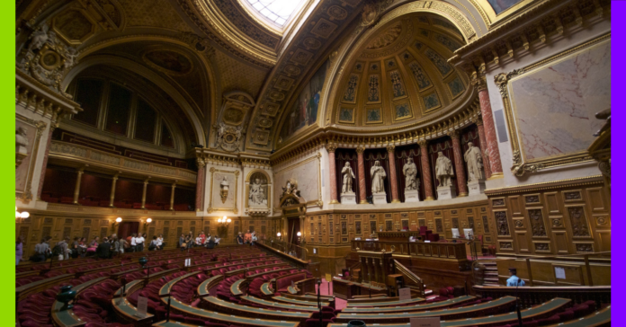 Aide à mourir, capitalisme rentier et agressions sexuelles : les 10 actus de la semaine