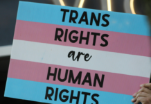 Transphobie, Bolivie et fraude : les 10 actus de la semaine