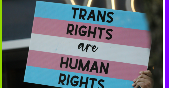 Transphobie, Bolivie et fraude : les 10 actus de la semaine