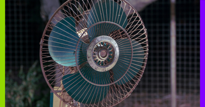Canicule, Liban et Russie : les 10 infos de la semaine