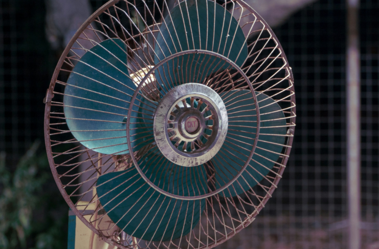 Canicule, Liban et Russie : les 10 infos de la semaine