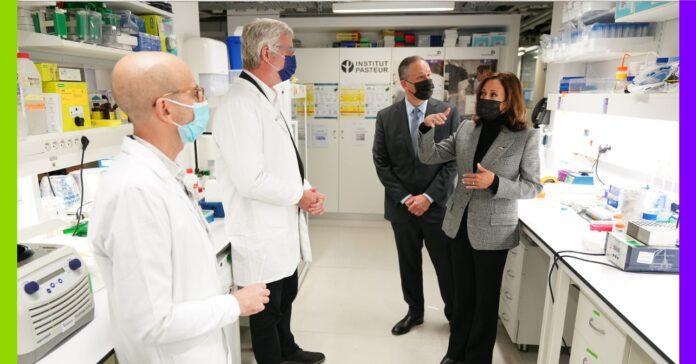 Vaccination et désinformation : les défis de la communication officielle Vaccination et désinformation : les défis de la communication officielle