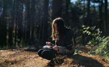 Les forêts ont un impact direct sur notre santé Les forêts ont un impact direct sur notre santé