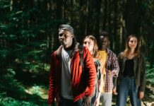 Les forêts ont un impact direct sur notre santé Les forêts ont un impact direct sur notre santé