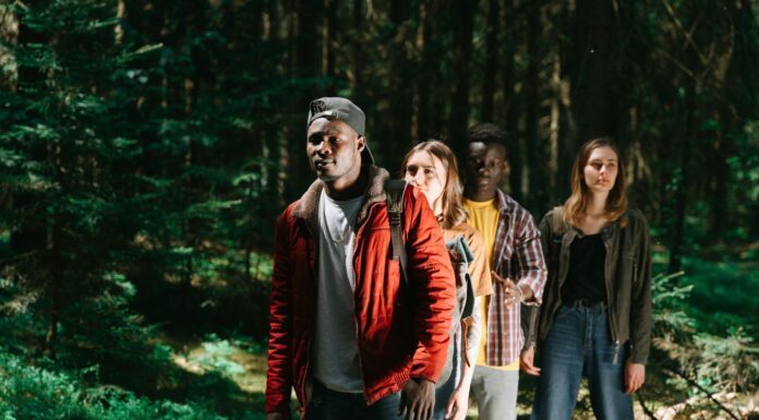 Les forêts ont un impact direct sur notre santé Les forêts ont un impact direct sur notre santé