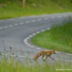_02A8706_DxO_DxO_11zon