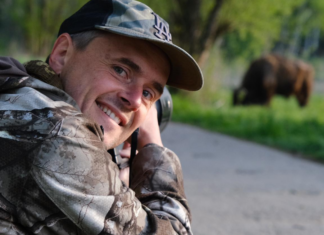 Routes vivantes : protéger les animaux sur les routes Routes vivantes : protéger les animaux sur les routes