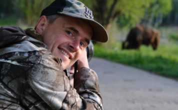 Routes vivantes : protéger les animaux sur les routes Routes vivantes : protéger les animaux sur les routes
