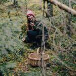 La cueillette sauvage : Entre écologie, habitat et autonomie populaire