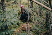 La cueillette sauvage : Entre écologie, habitat et autonomie populaire La cueillette sauvage : Entre écologie, habitat et autonomie populaire