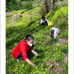 image(2)