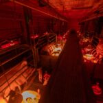 2025-leclerc-truies-en-cage-sous-lampe_11zon