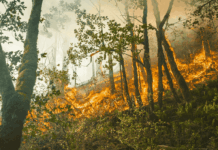 Trêve, frontière et incendie : les 10 infos de la semaine