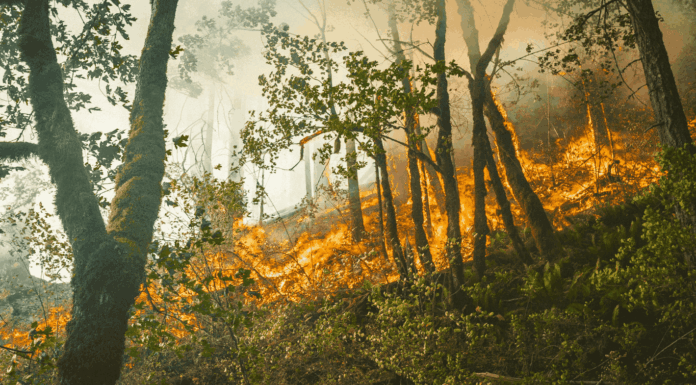 Trêve, frontière et incendie : les 10 infos de la semaine