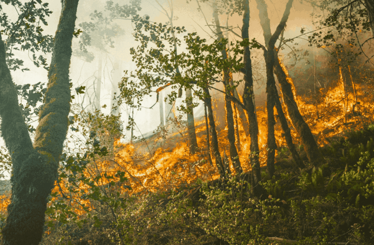 Trêve, frontière et incendie : les 10 infos de la semaine